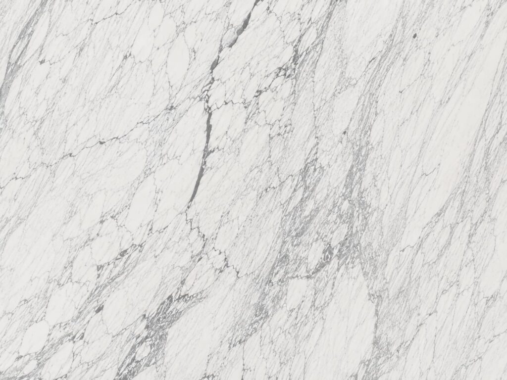 ARABESCATO VAGLI CLOSE UP