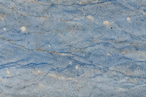BLUE PARADISE CLOSE UP