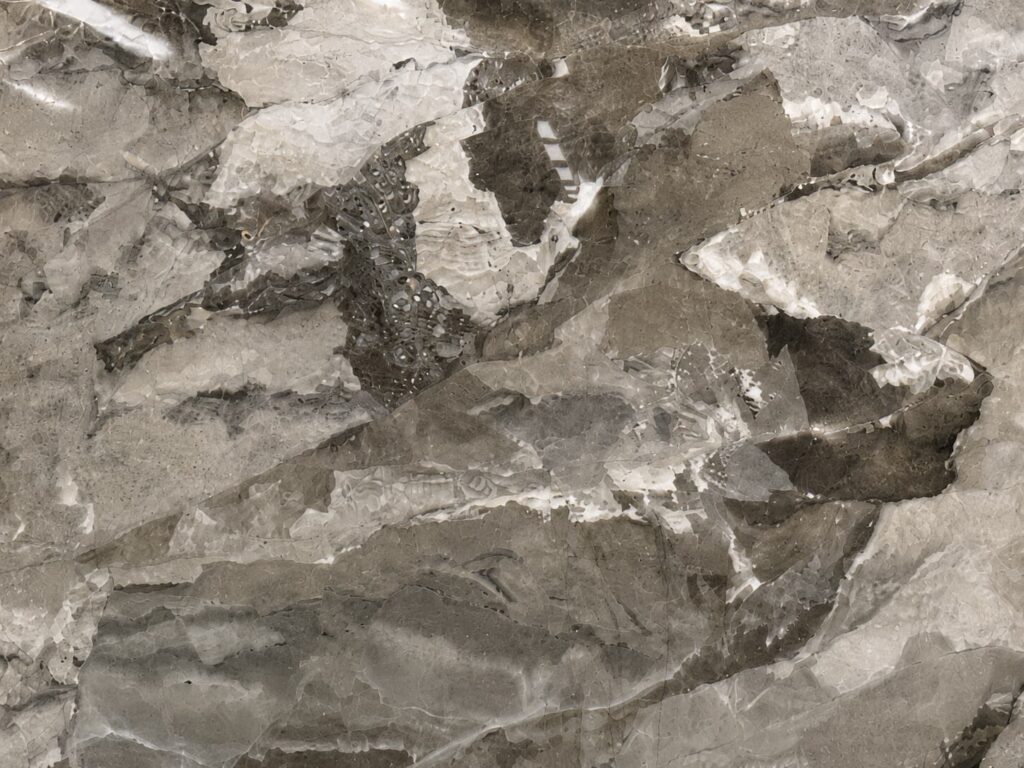 CAMOUFLAGE CLOSE UP