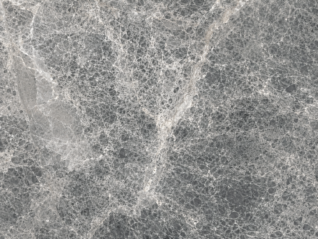 HERM GREY CLOSE UP