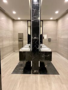 Silk Georgette Claro