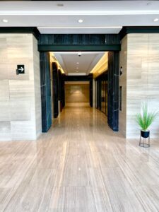 Silk Georgette Claro 3