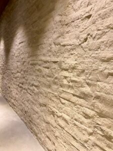 Silk Georgette claro 2