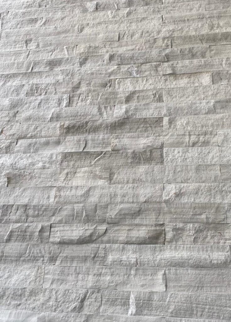 silk georgette claro 2