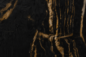 BELATRIX CLOSE UP