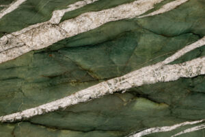 BOTANIC GREEN CLOSE UP