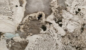 Bianco Patagonia Close up