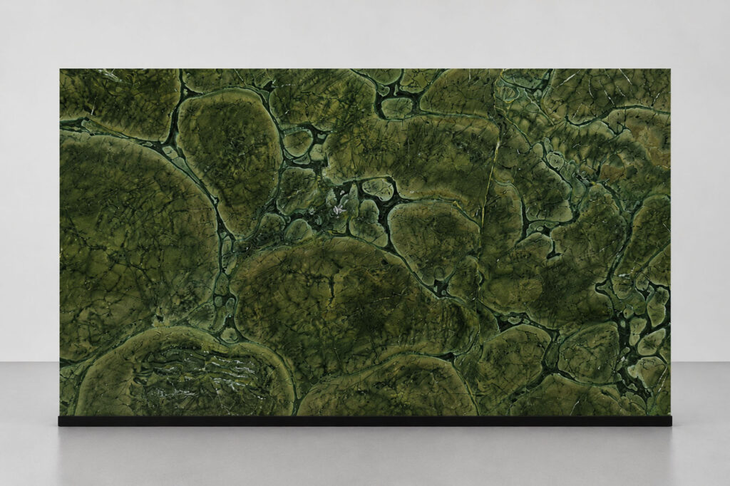 GREEN VICTORY STUDIO
