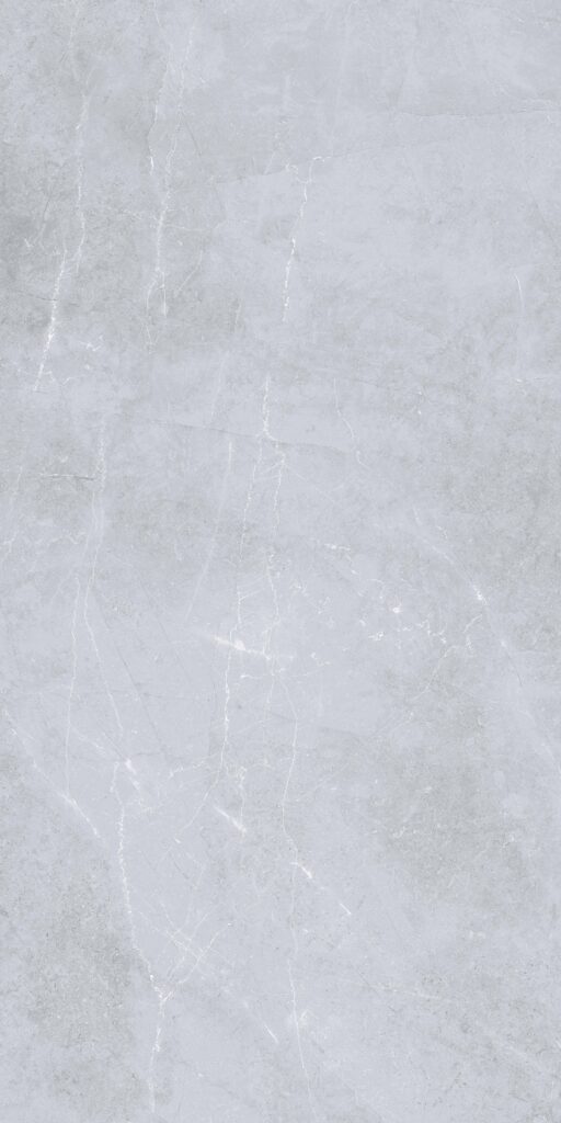 Cerámico Living Gris 50 x 100