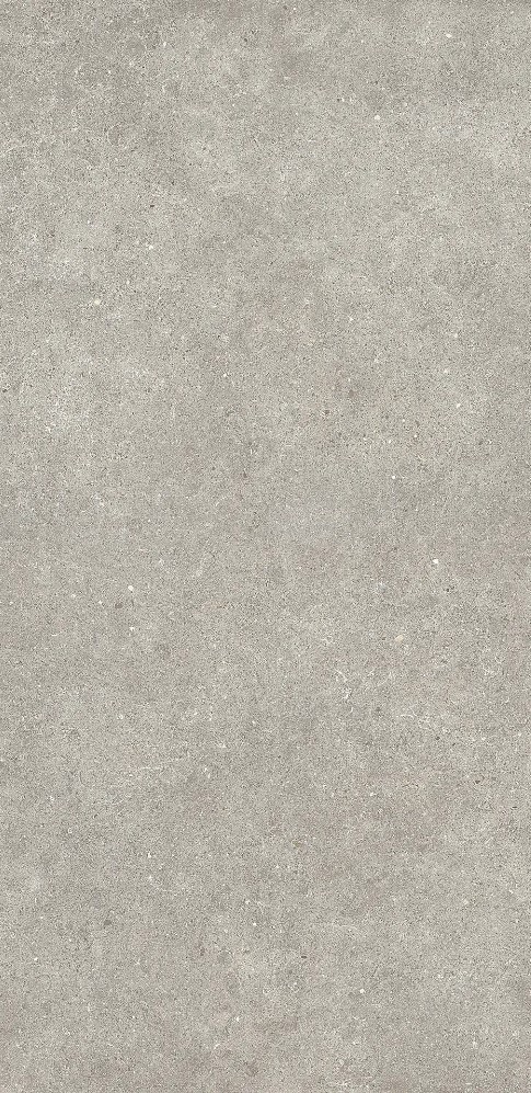 Porcelanato Ar Gent Greige R10 60 x 120