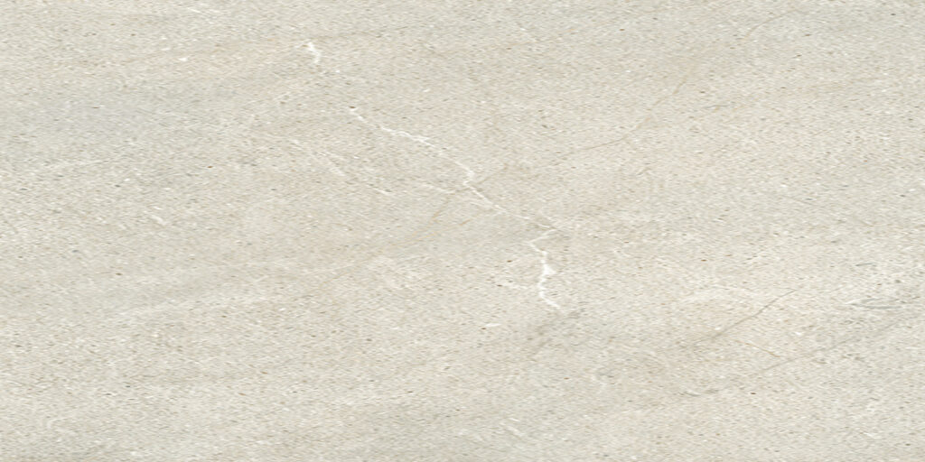 Porcelanato Lime Evolution Greige R10 60 x 120