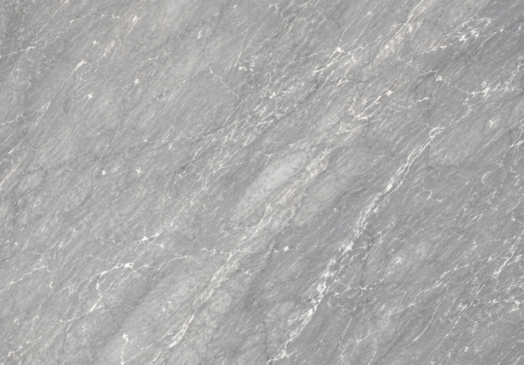 LARDO GREY CLOSE UP