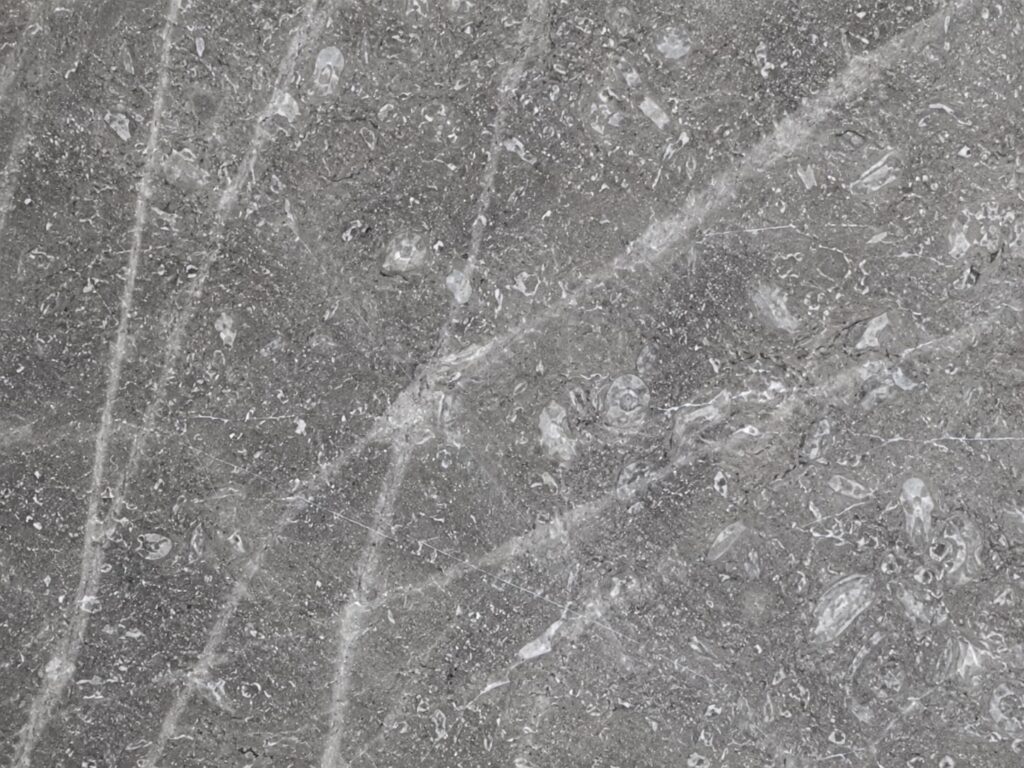 MX FOSSIL GREY CLOSE UP
